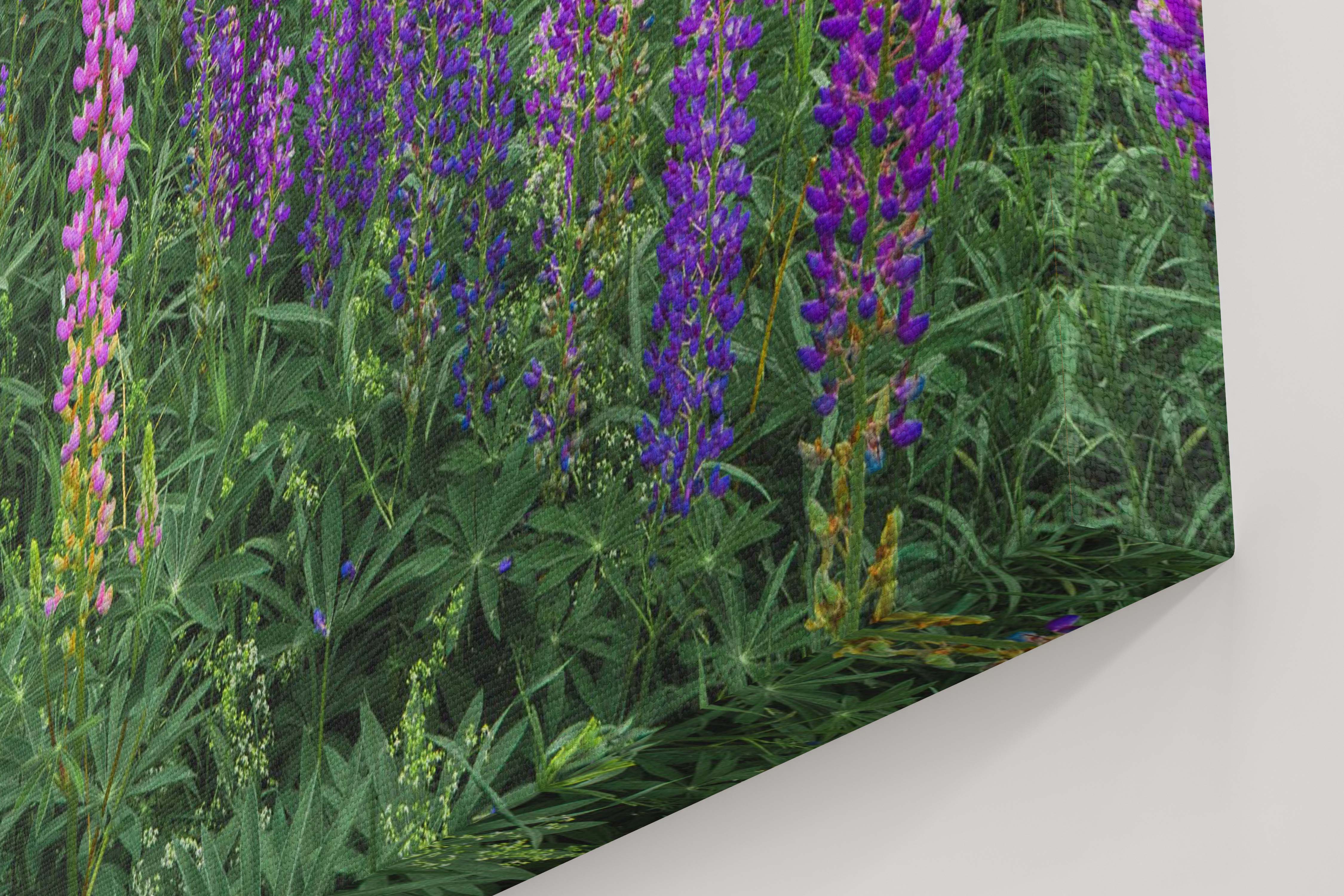Canvas preview